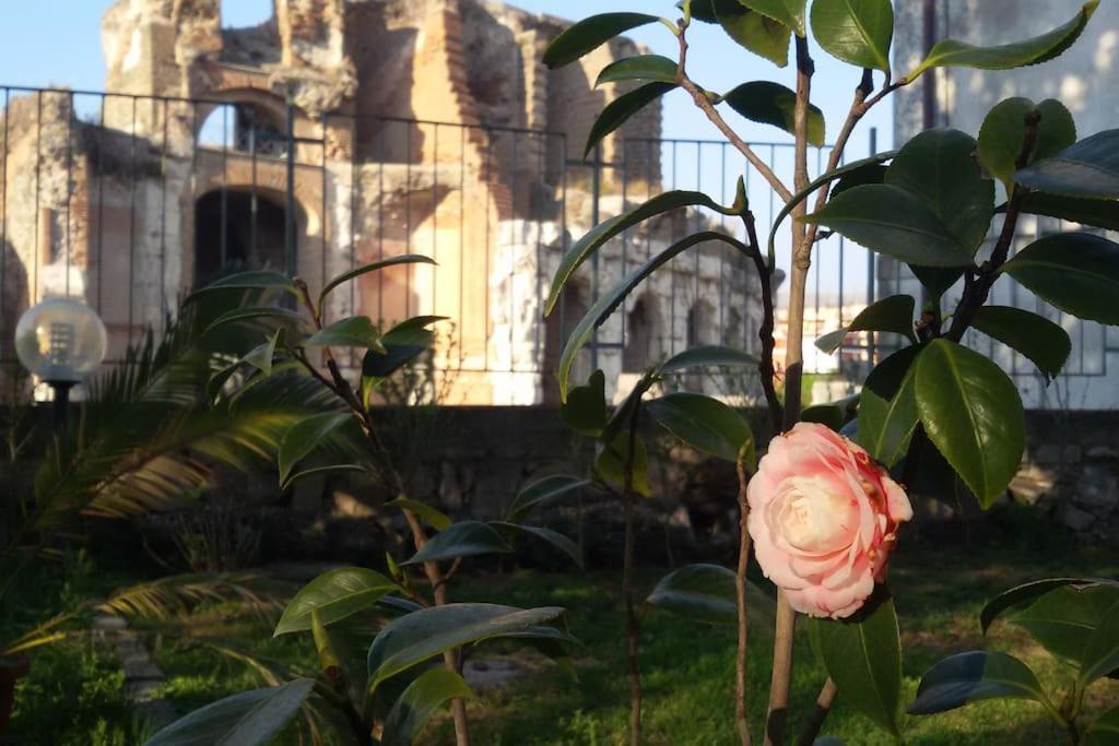 Casa Vacanze Antica Capua ซานตา มาเรีย คาปัว เวเตเร ภายนอก รูปภาพ