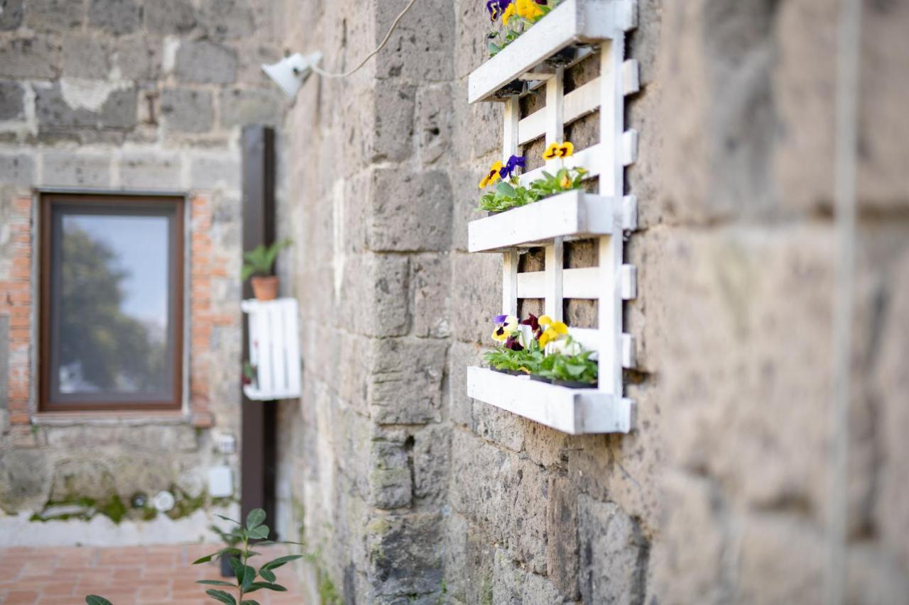 Casa Vacanze Antica Capua ซานตา มาเรีย คาปัว เวเตเร ภายนอก รูปภาพ